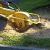 Perkasie Stump Grinding & Removal by GF Amador Tree Services & Complete landscaping LLC